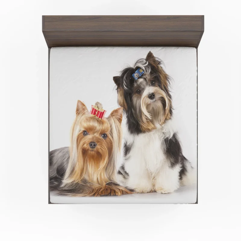 Yorkshire Terrier Loveliness: Cute Yorkies Fitted Sheet