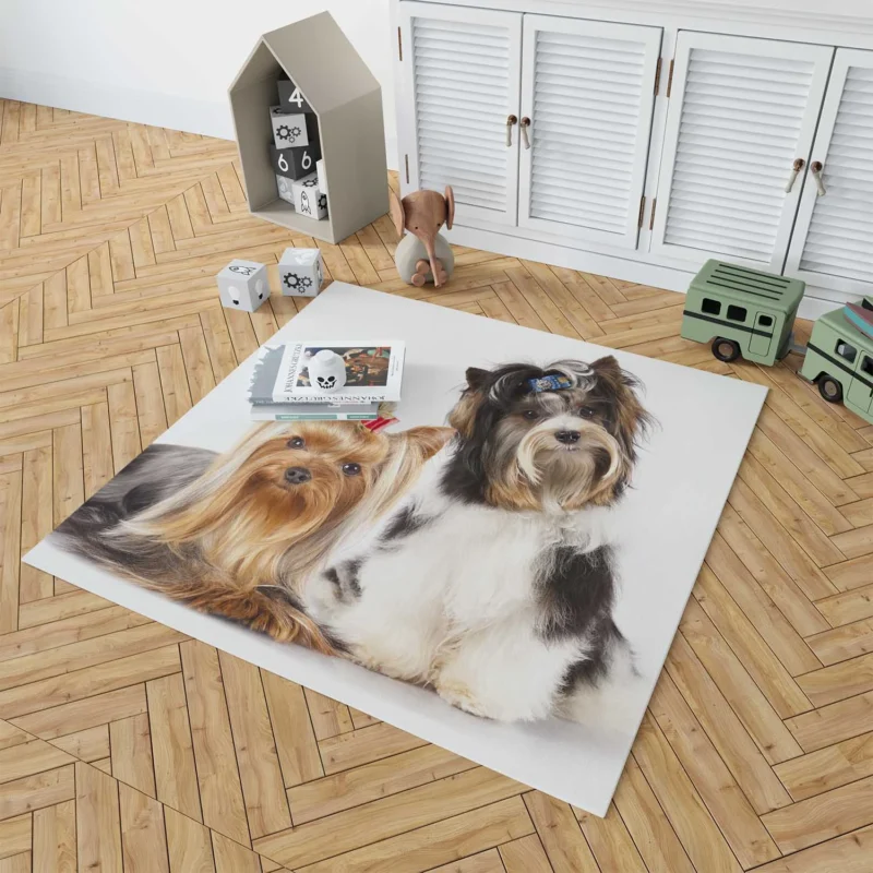 Yorkshire Terrier Loveliness: Cute Yorkies Floor Rug 1