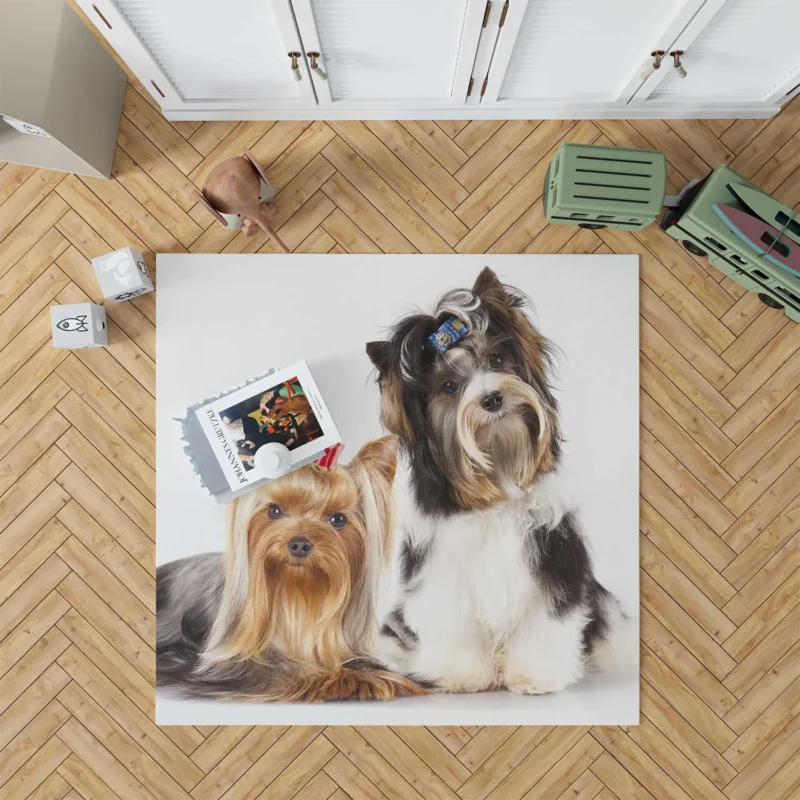 Yorkshire Terrier Loveliness: Cute Yorkies Floor Rug