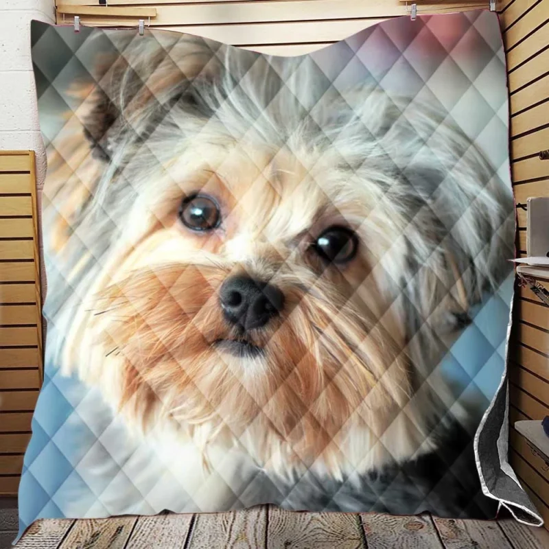 A Bundle of Joy: Yorkshire Terrier Quartet Quilt Blanket