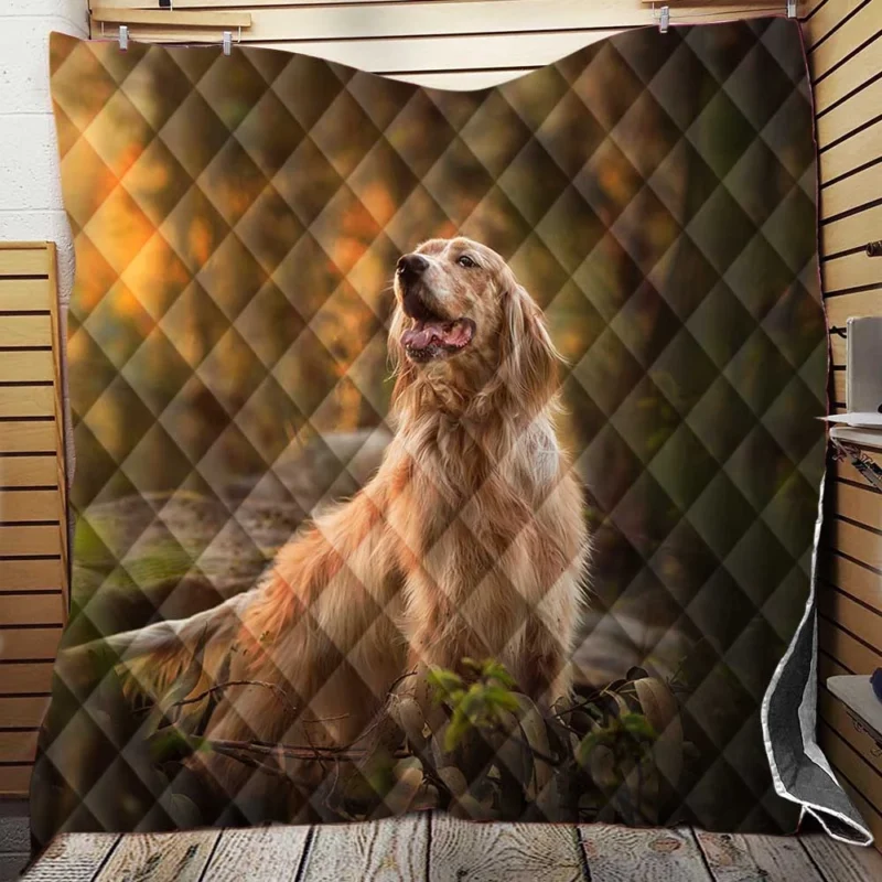 A Captivating Ensemble: Spaniel Quartet Quilt Blanket