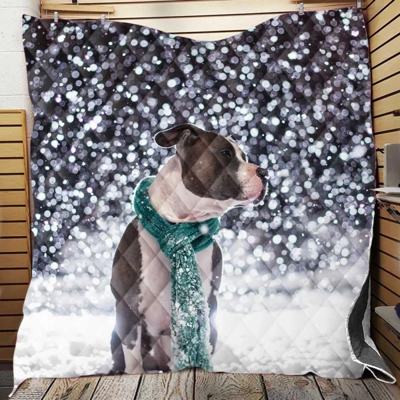 A Pibble Christmas: Pit Bull Quartet Quilt Blanket