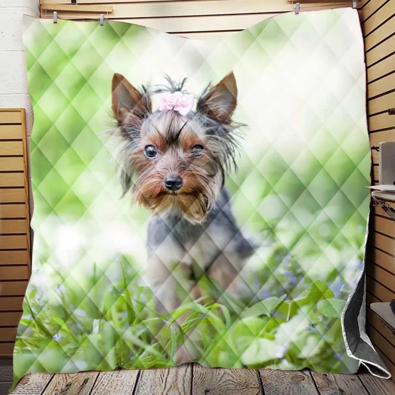 A Portrait of Tenacity: Terrier Quartet Quilt Blanket