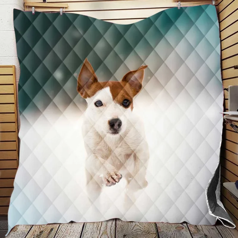 A Quartet of Cuteness: Jack Russell Terrier Puppies Quilt Blanket