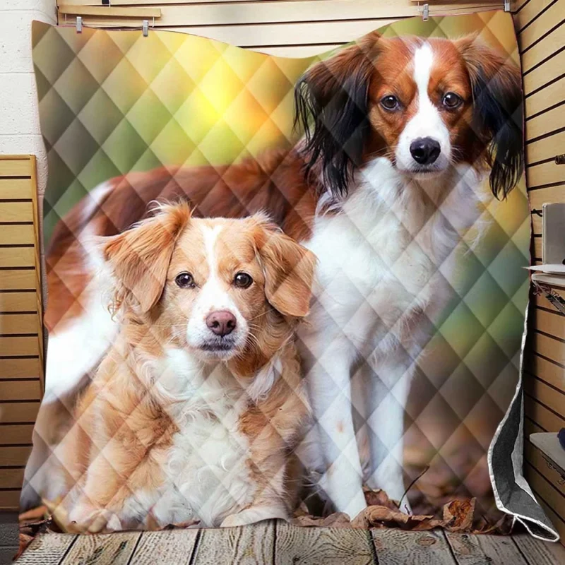 A Quartet of Dutch Beauties: Kooikerhondje Dogs Quilt Blanket