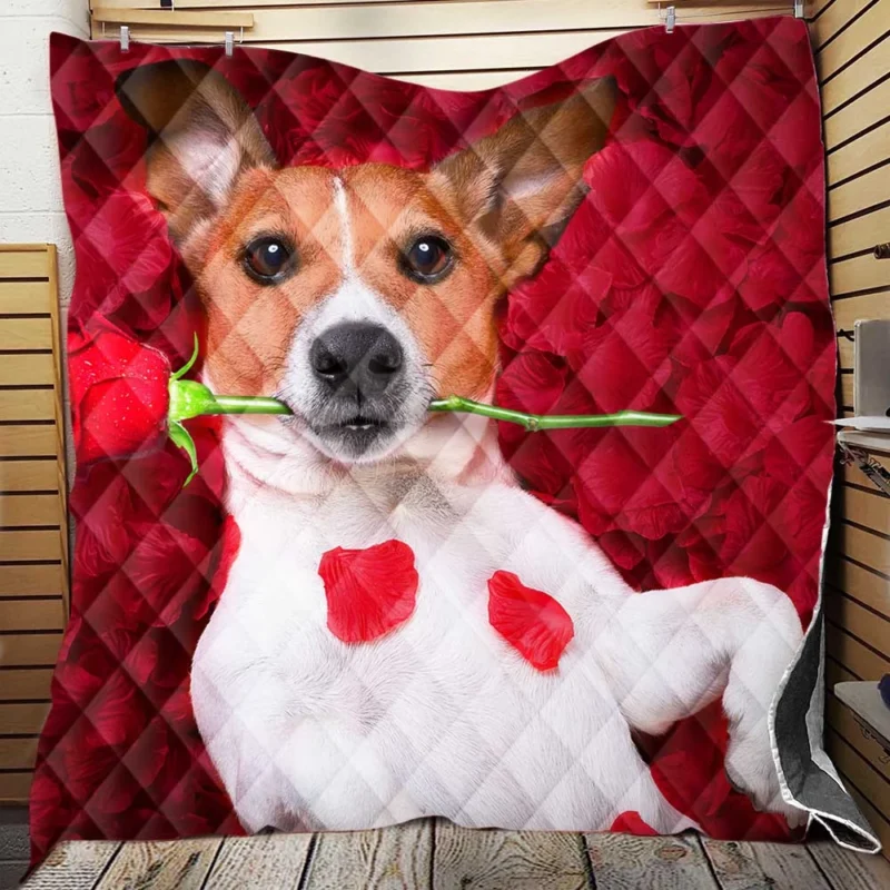 A Quartet of Joy: Jack Russell Terriers Quilt Blanket