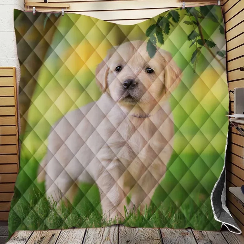 A Quartet of Playful Cuties: Labrador Puppies Quilt Blanket