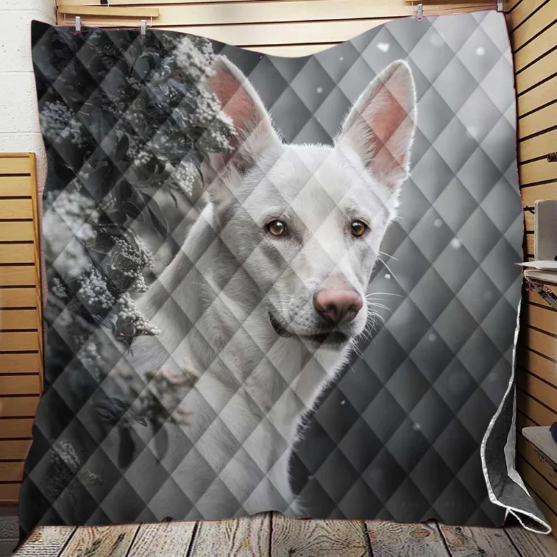 A Study in Radiance: White Shepherd Quartet Quilt Blanket