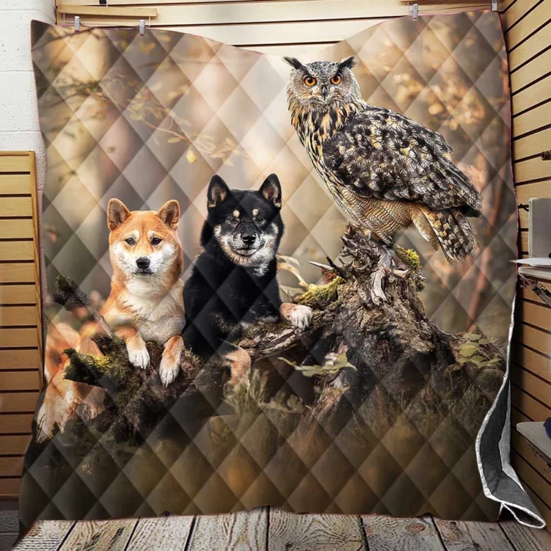 A Whimsical Encounter: Owl and Akita Quartet Quilt Blanket