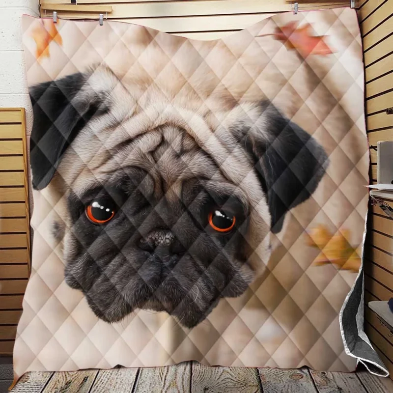 Active Fourfold Pug Majesty: Pug Quartet Quilt Blanket