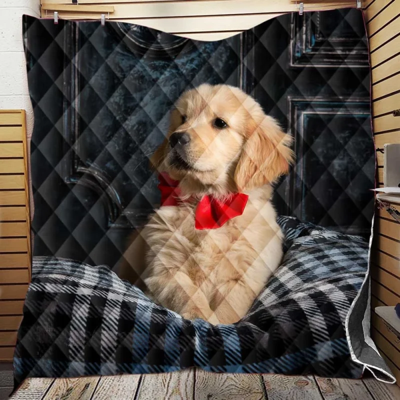 Adorable Quartet: Golden Retriever Puppies Quilt Blanket