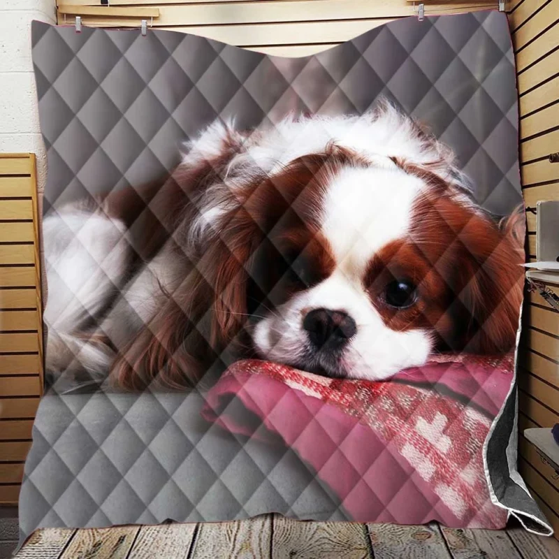 Adorable Quartet of Puppies: King Charles Spaniels Quilt Blanket