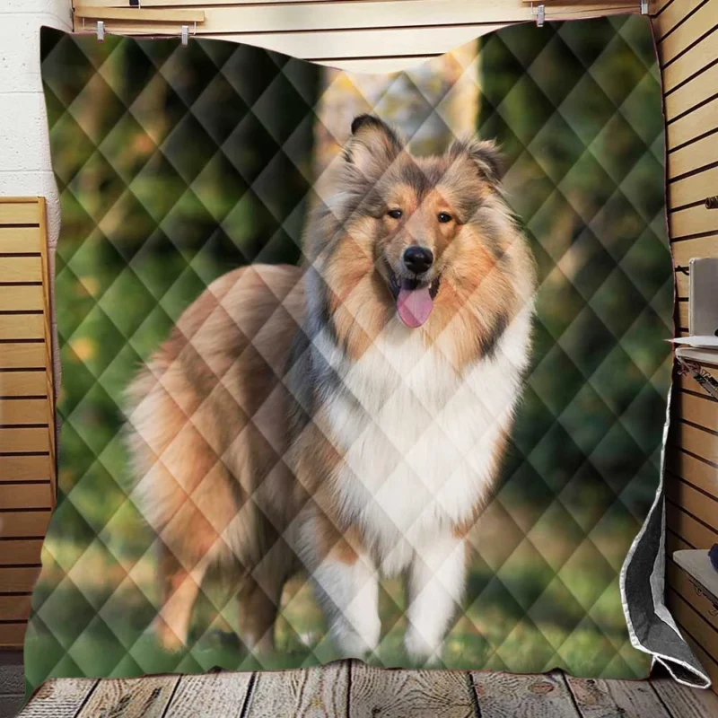 Alluring Depth of Field: Shetland Sheepdog Quartet Quilt Blanket