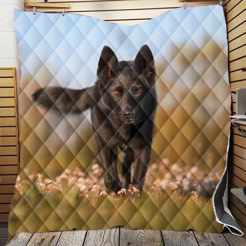 Australian Beauty Quartet: Kelpie in Flower Field Quilt Blanket