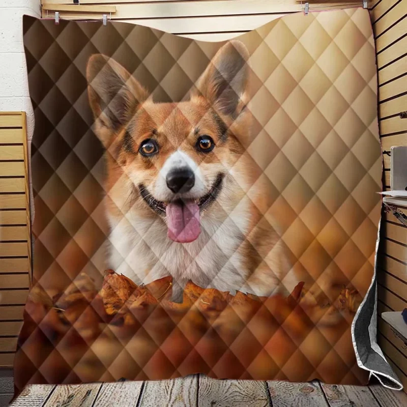 Autumn Beauty with Depth of Field: Corgi Quartet Quilt Blanket