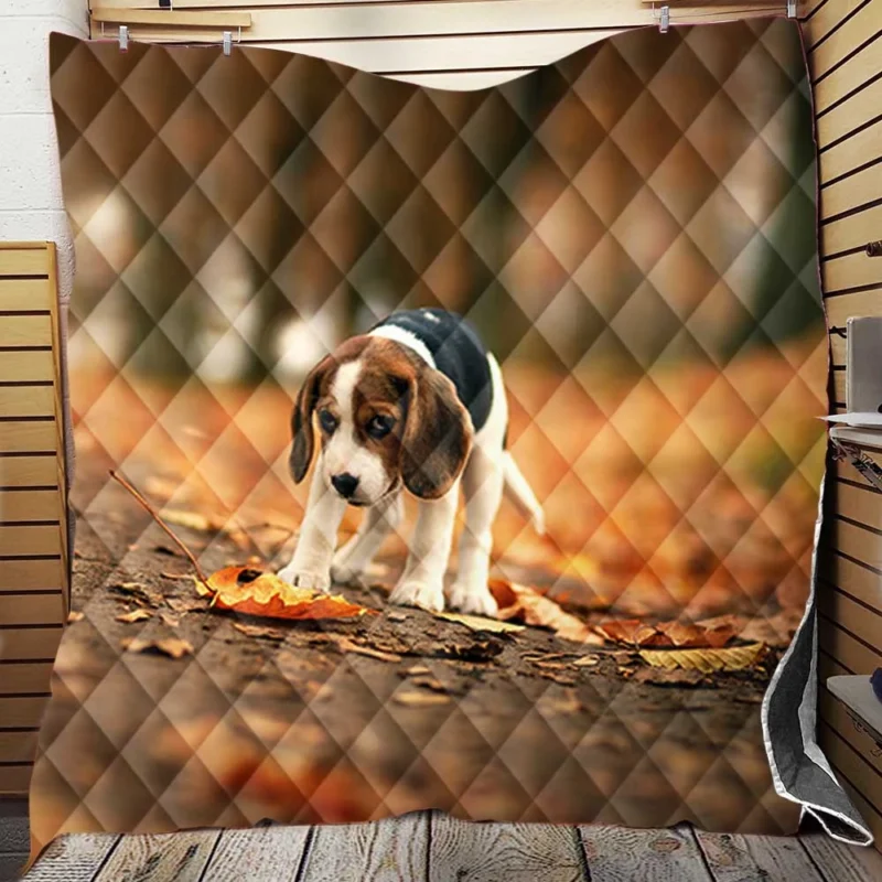 Autumn Bliss with a Sad Canine and Falling Leaves: Beagle Quilt Blanket