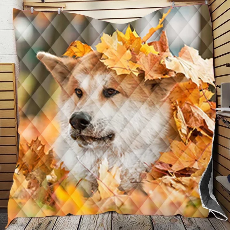 Autumn Leaves and Beauty: The Akita Quartet Quilt Blanket