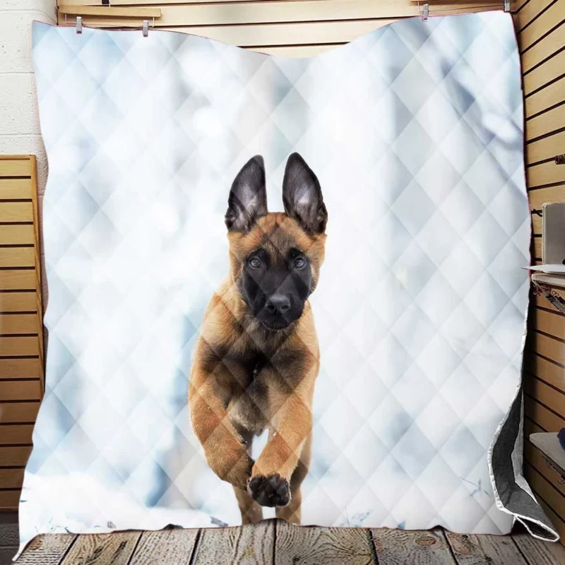 Ba and Puppy Charm: Belgian Malinois Puppy Quilt Blanket