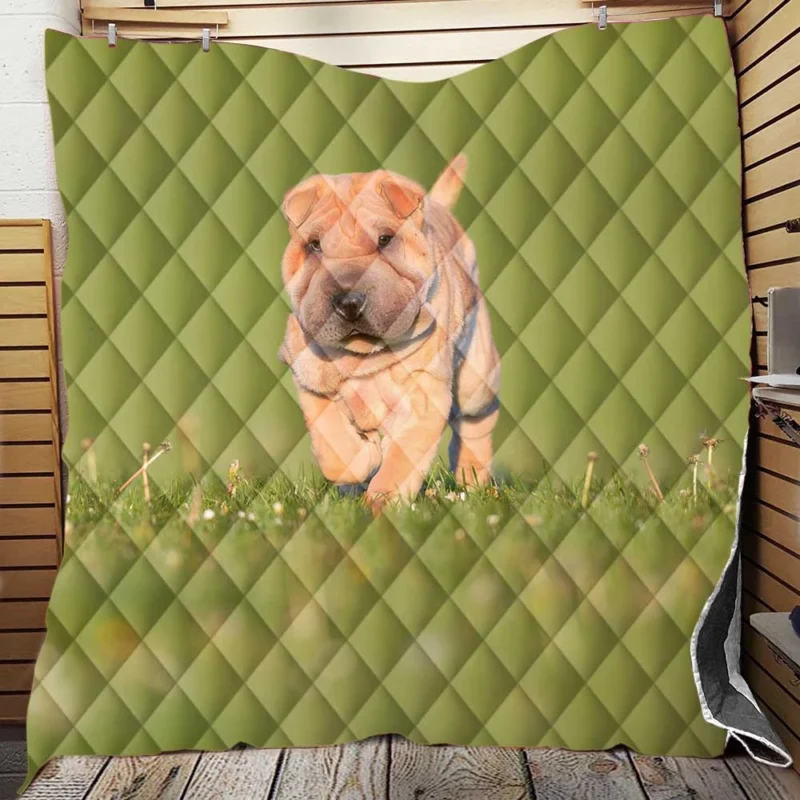 Bauble Puppy Amidst Shar Pei Greenery: Quartet Quilt Blanket