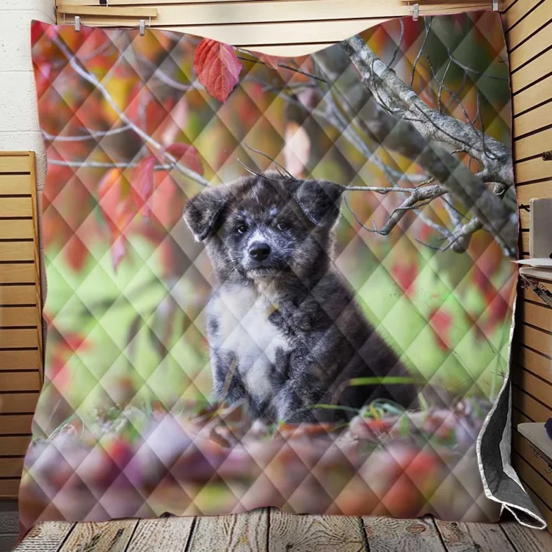 Bauble of Joyful Puppies: The Akita Quartet Quilt Blanket