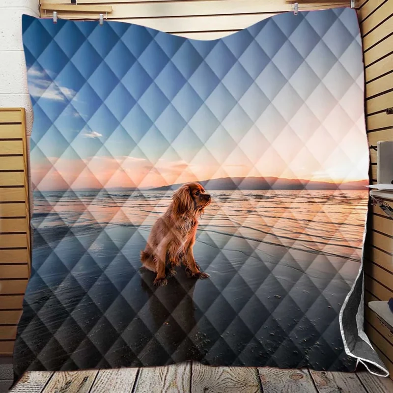 Beach Sunrise Bliss with Cocker Spaniels Quilt Blanket