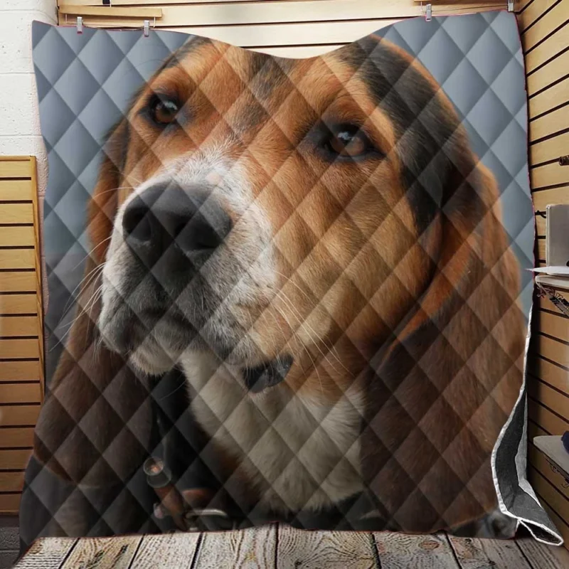 Beagle Friendly and Playful Character: Beagle Quilt Blanket