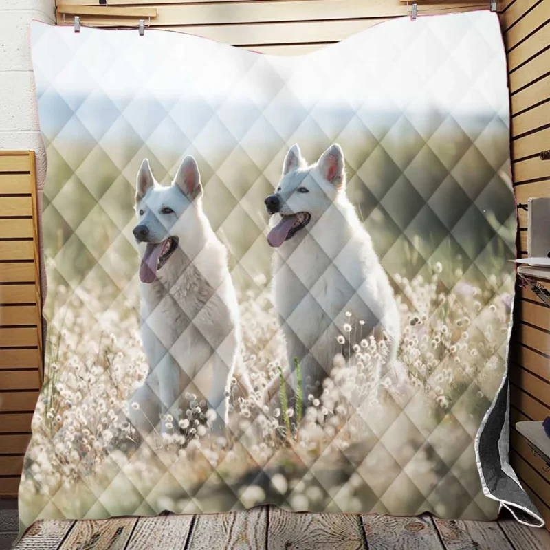 Berger Blanc Suisse Elegance in Depth Of Field Quilt Blanket