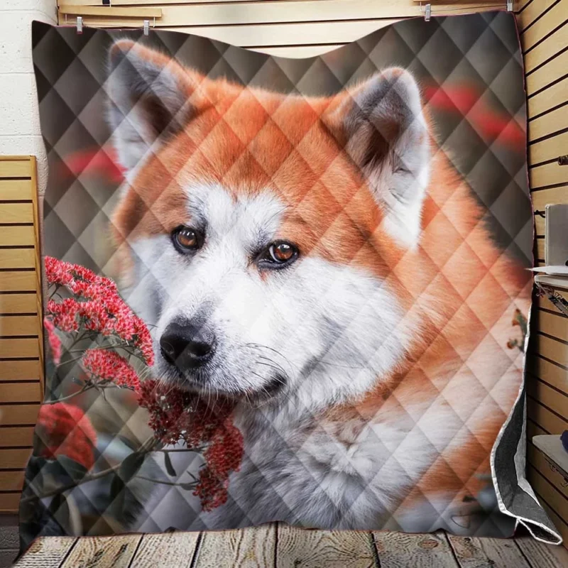 Blossoms and Beauty: The Akita Quartet Quilt Blanket