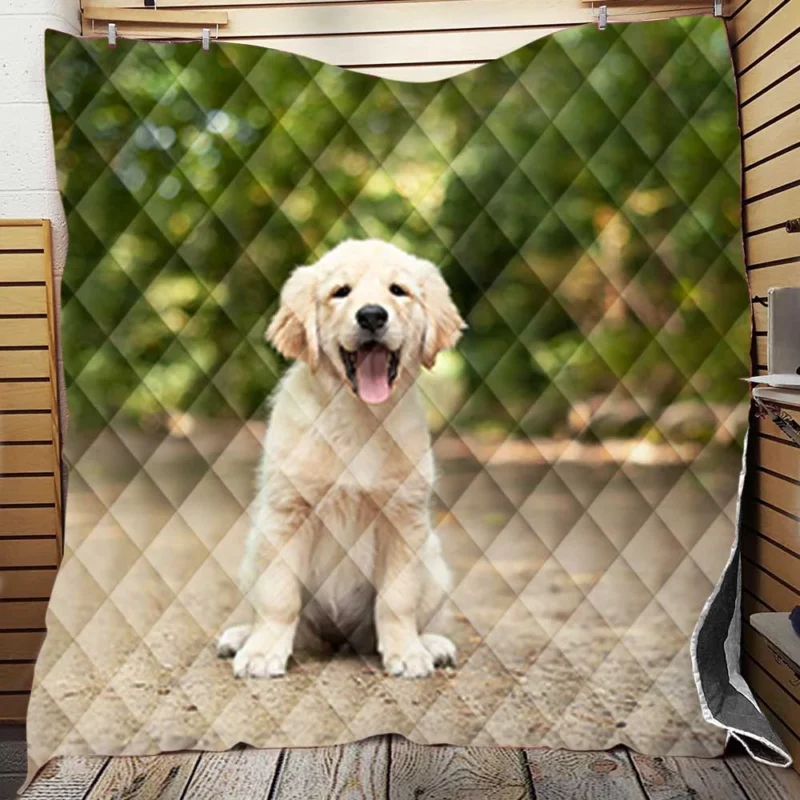 Bokeh Cuteness: Labrador Puppy Quartet Quilt Blanket