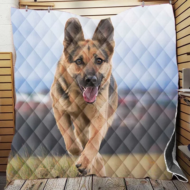 Bokeh Elegance: German Shepherd Charm Quilt Blanket