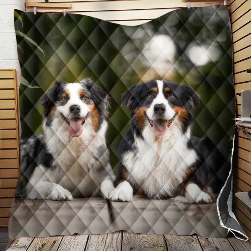 Bokeh and Depth of Field with a Canine Friend: Australian Shepherd Quilt Blanket