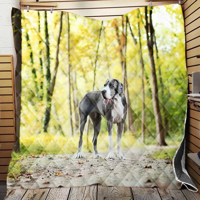 Canine Adventure: Great Dane Forest Path Quilt Blanket