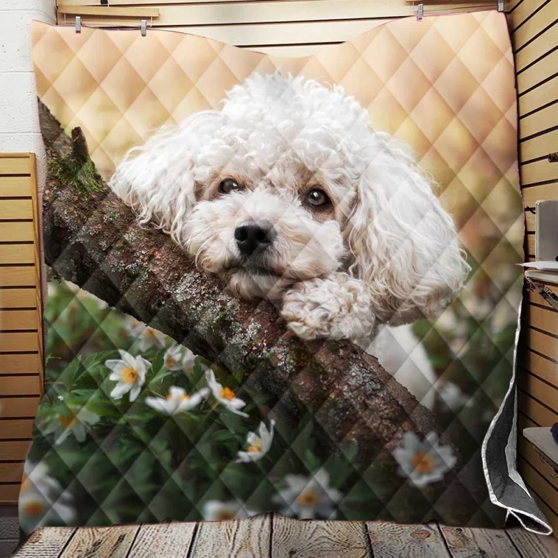 Canine Elegance: Poodle Quartet Quilt Blanket