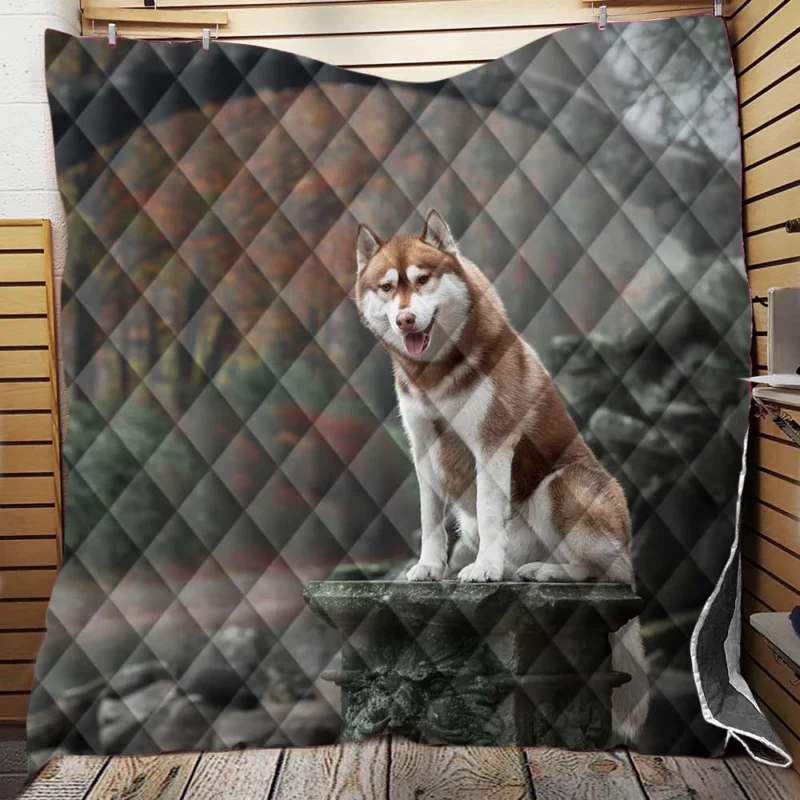 Canine Majesty: Husky Depth of Field with Arch Quilt Blanket