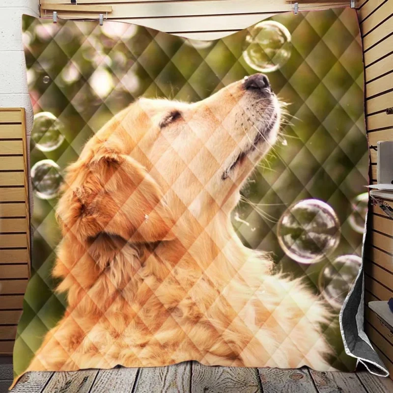 Canine Quartet of Joy: Golden Retrievers Quilt Blanket