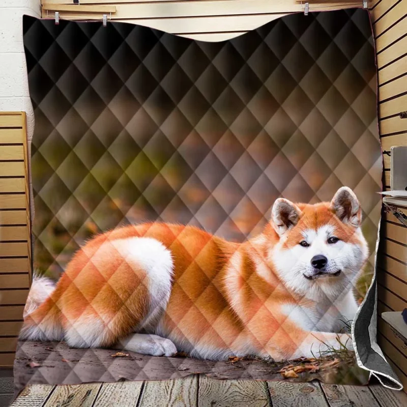 Captivating Companions: The Akita Quartet Quilt Blanket