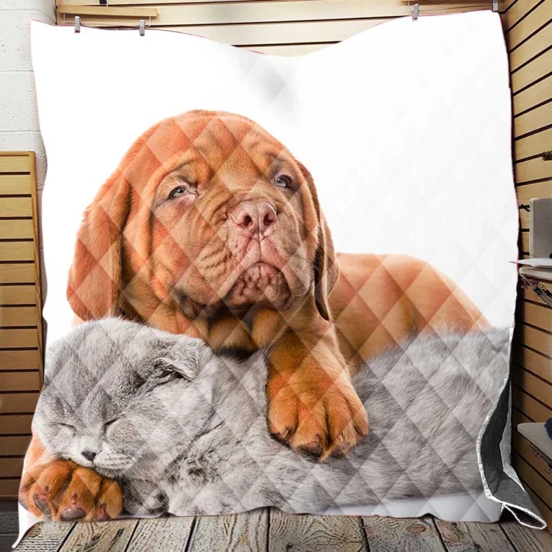Cat and Dog - Dogue de Bordeaux and a Sleeping Cat: Quartet Quilt Blanket
