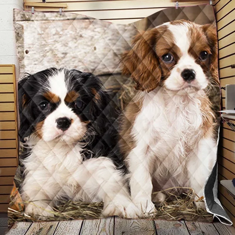 Cavalier Quartet of Love: King Charles Spaniels Quilt Blanket