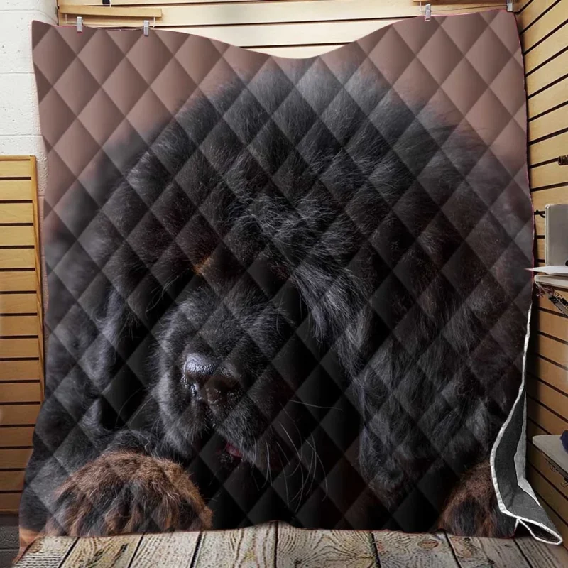 Charming Tibetan Mastiff Puppies in a Basket Quilt Blanket