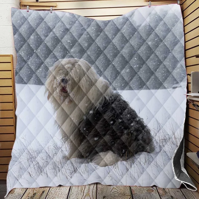 Christmas Delight: Old English Sheepdog Quartet Quilt Blanket