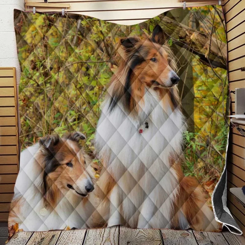 Collie Majesty: Rough Collie Quartet Quilt Blanket