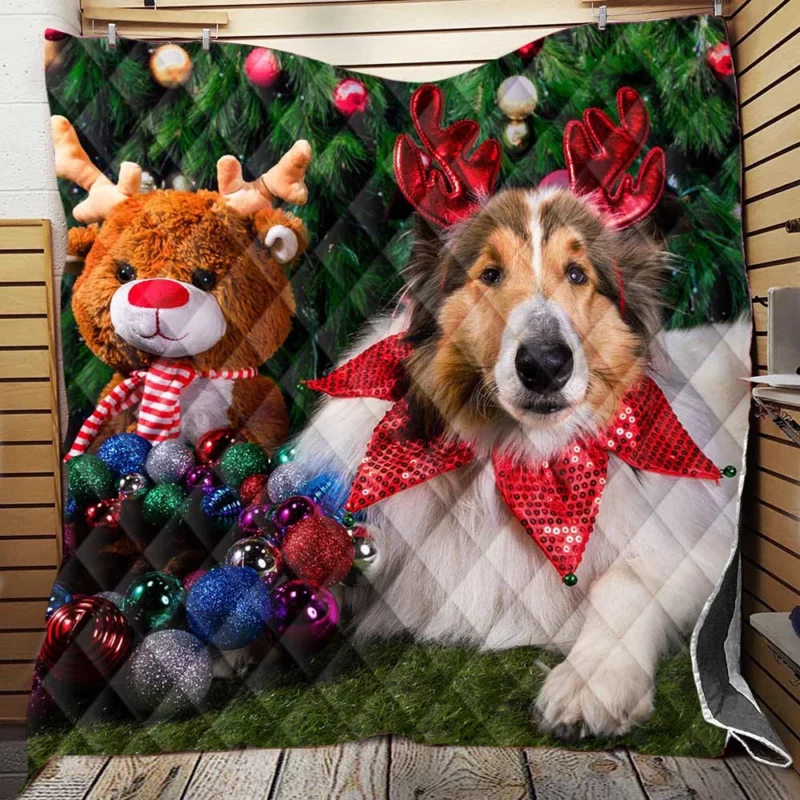 Collie Muzzle Moments: Rough Collie Quartet Quilt Blanket