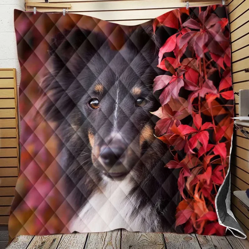 Cooling Off: Rottweiler Quartet Quilt Blanket