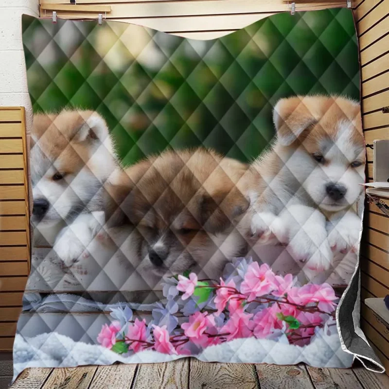 Cozy Bauble Nestled Puppies: Akita Quartet Quilt Blanket