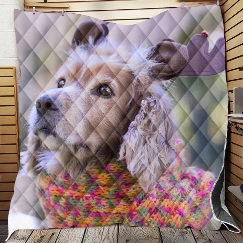 Cozy Scarves and Muzzles: Spaniel Quartet Quilt Blanket