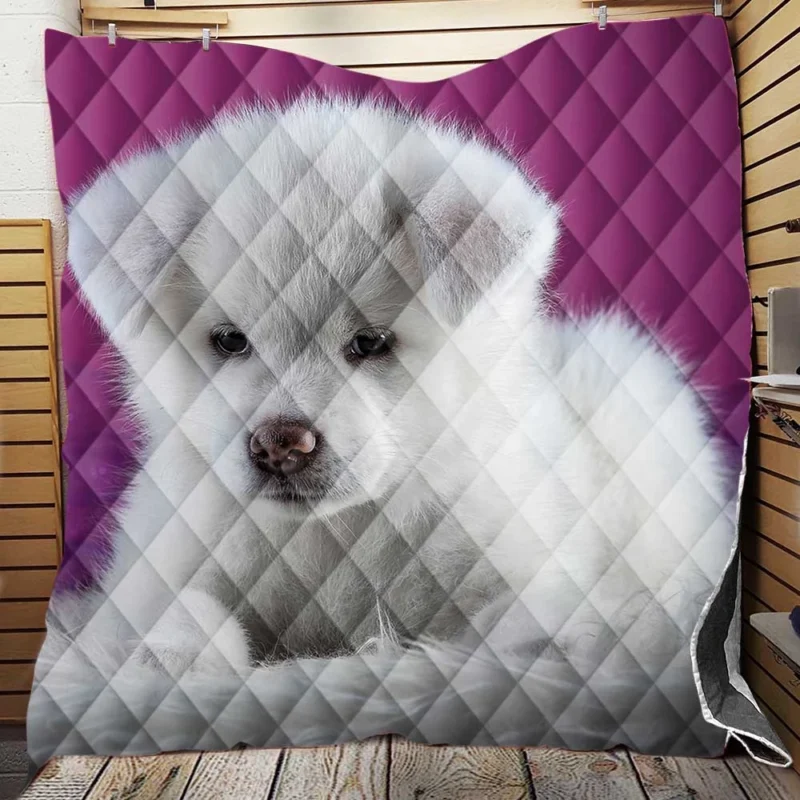 Cute and Captivating: Akita Puppy Quartet Quilt Blanket