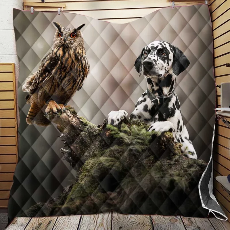Dalmatian with an Owl: Dalmatian Quartet Quilt Blanket