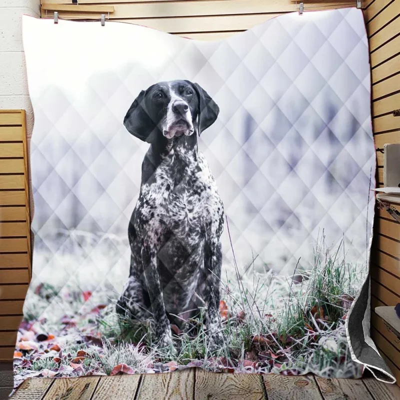 Depth of Field Beauty: Pointer Quartet Quilt Blanket