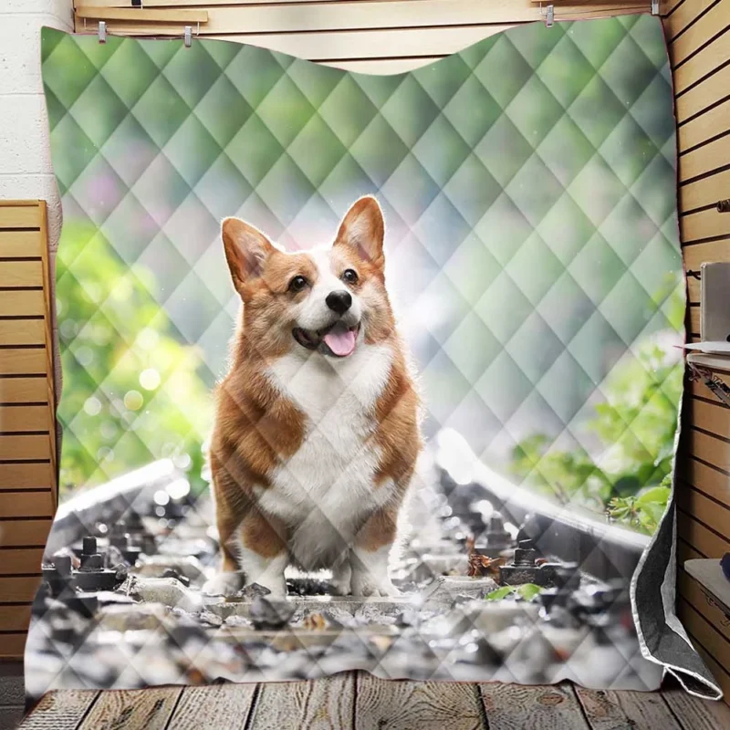 Depth of Field Corgi Quartet Quilt Blanket