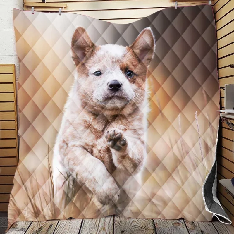 Depth of Field Puppy Play with the Akita Quartet Quilt Blanket